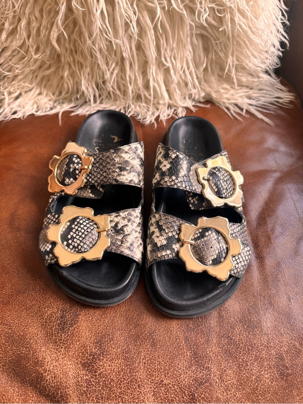 Ted Baker Snake Print Slide Sandals with Gold Buckle Accents